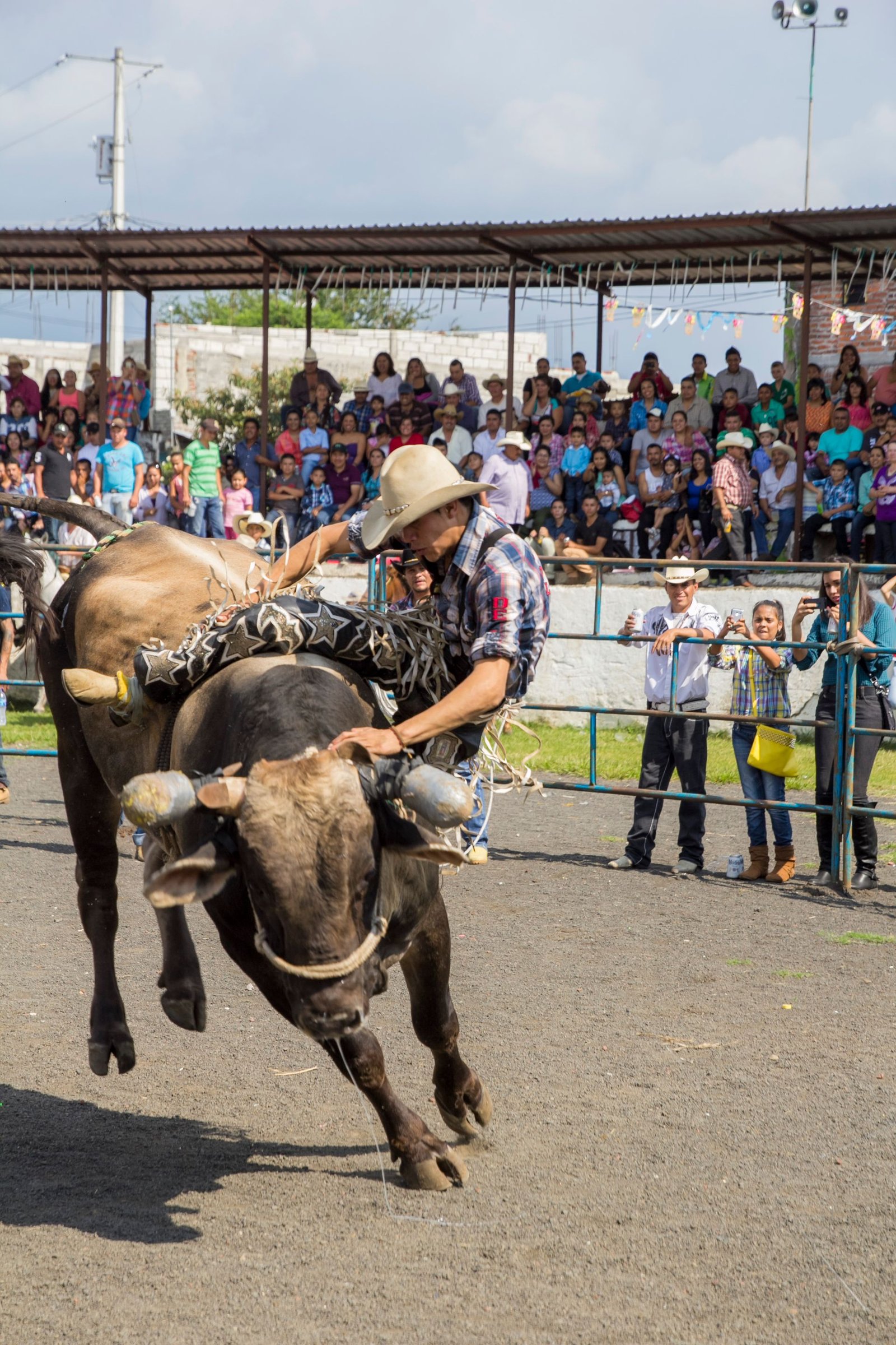 Rodeio Show