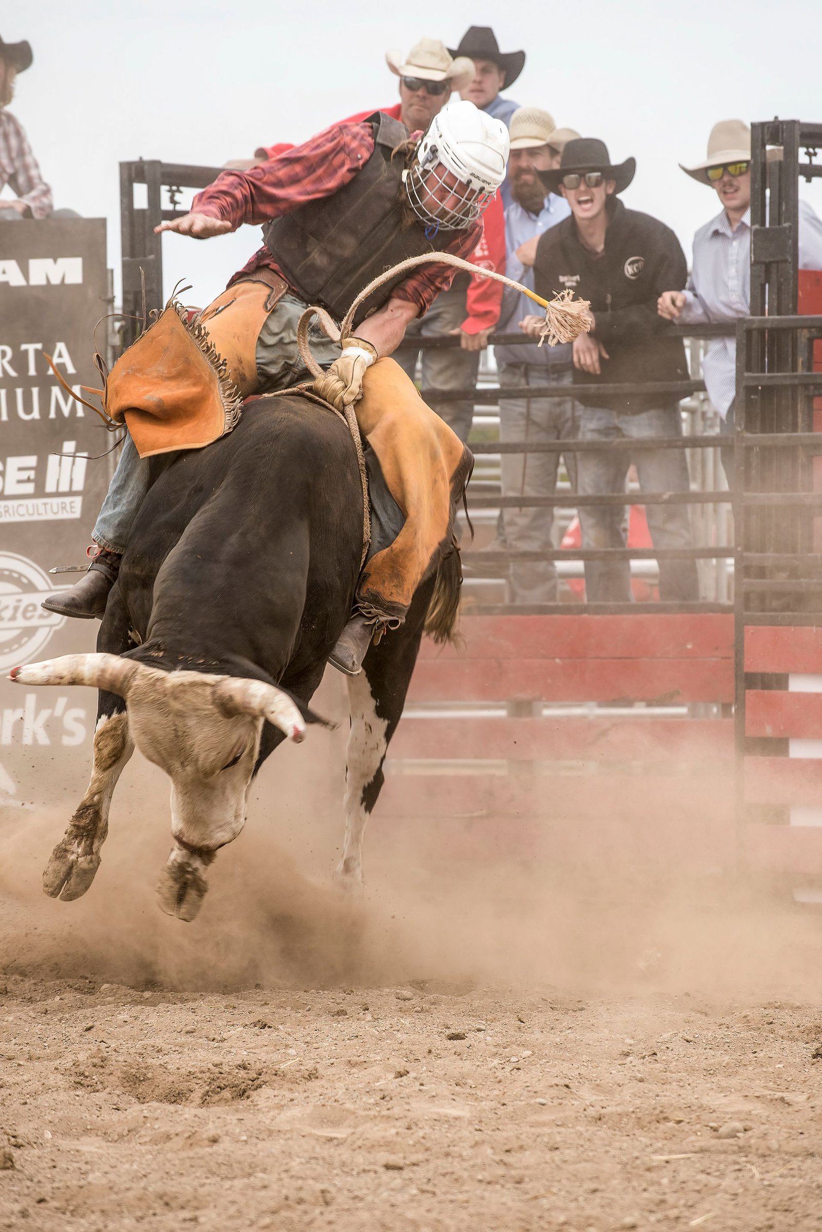 Peão montando touro em arena de rodeio